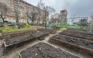 Közösségi kertek felújítása