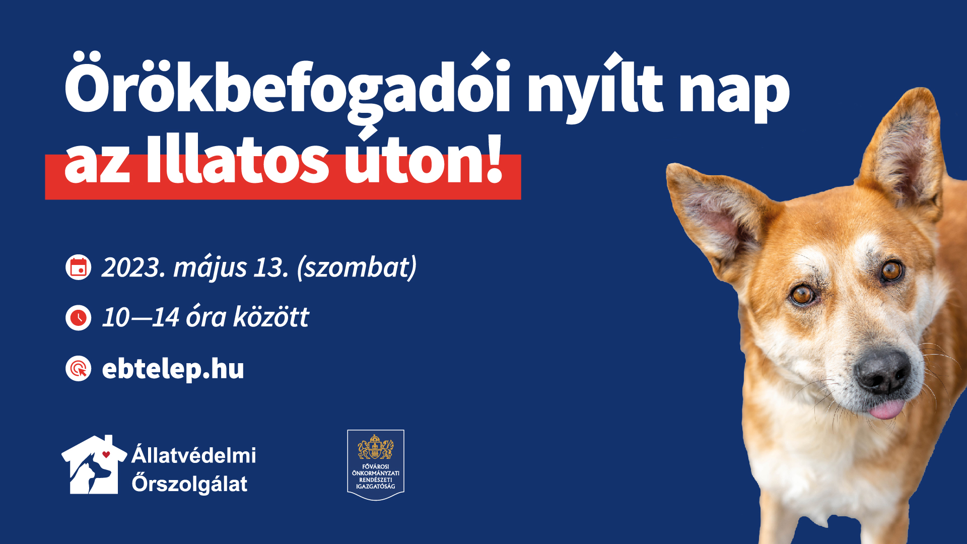 Nyílt nap az Illatos úton