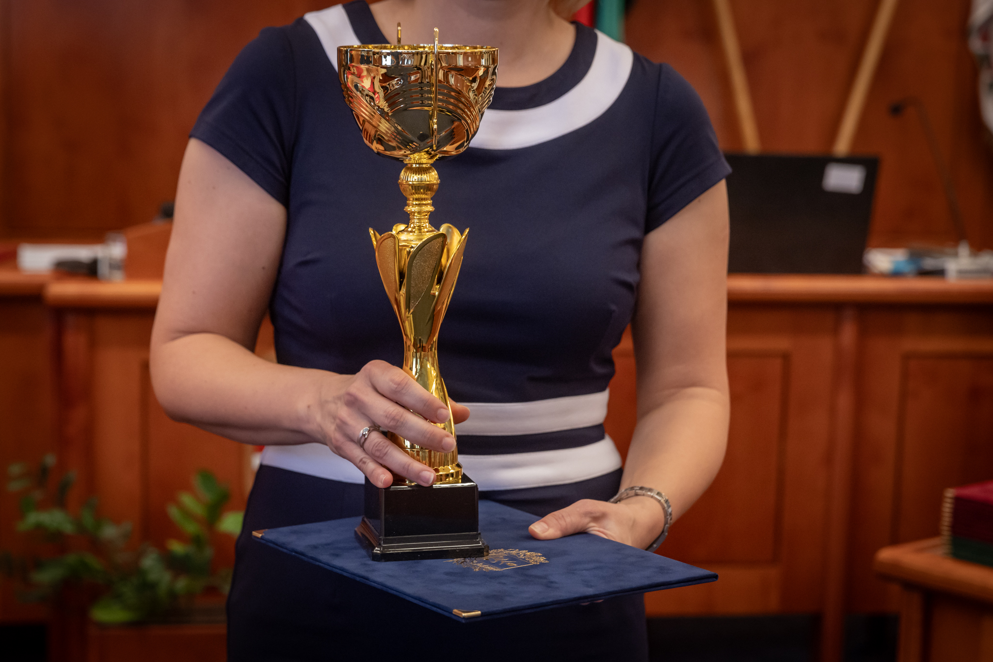 Elismeréseket és kitüntetéseket kaptak a köztisztviselők
