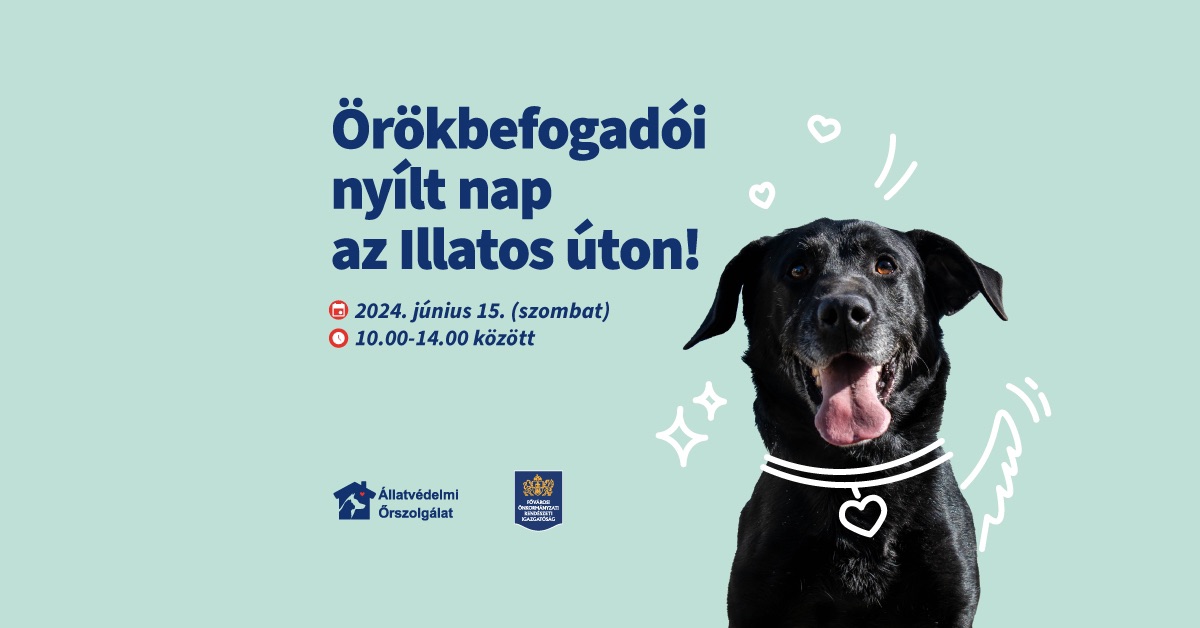 Örökbefogadói nap az Illatos úton