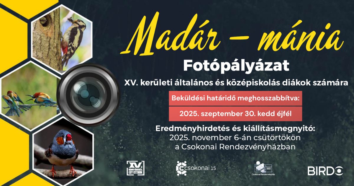 Madár - mánia fotópályázat plakátja