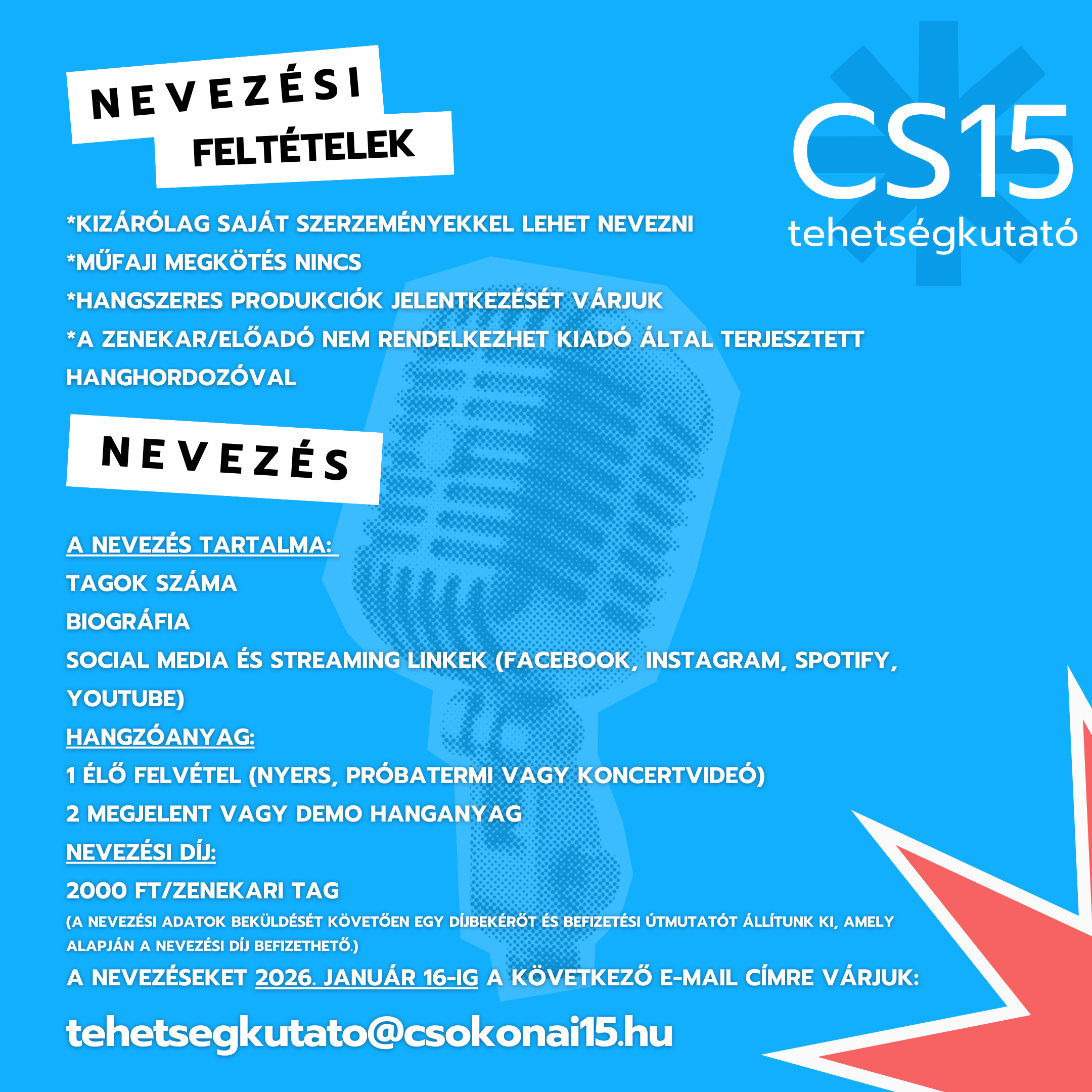 A tehetségkutató plakátja