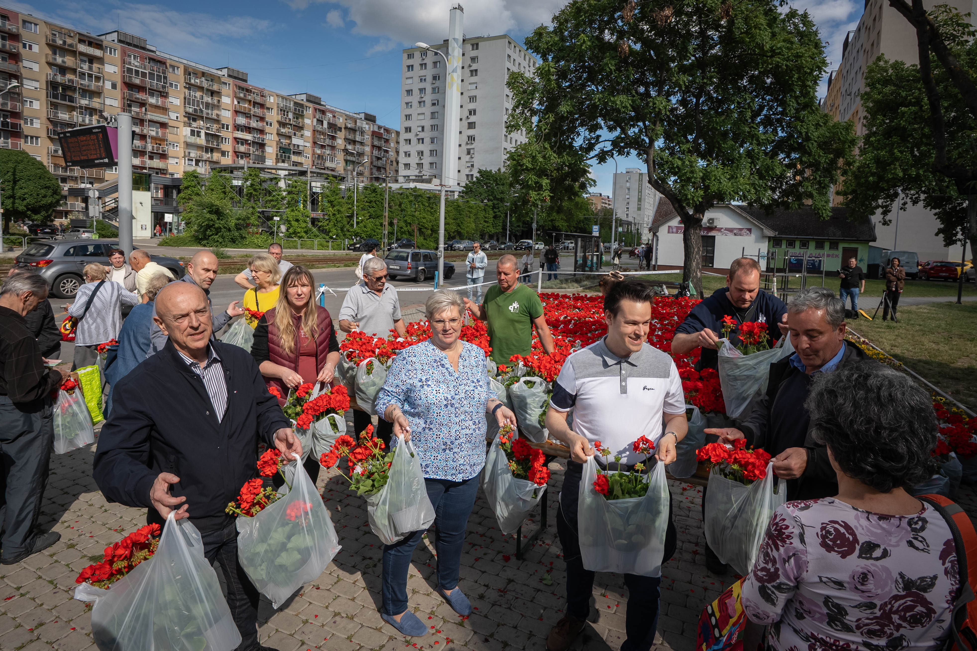 Muskátlit oszt a városvezetés