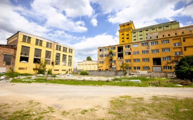 A volt rákospalotai növényolajgyár