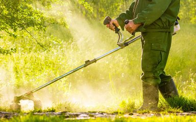 Zöldterület-karbantartás