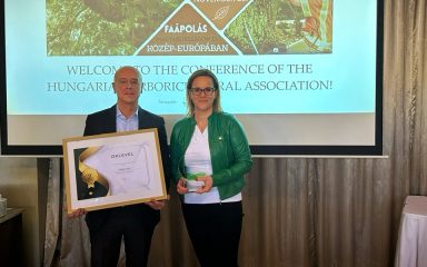 Tóth Imre alpolgármester és dr. Kevevári Edit jegyző vette át a díjat