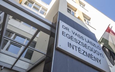 Egészségügyi Intázmény