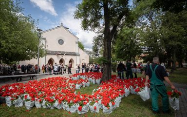 Idén is megtartottuk a muskátliosztást