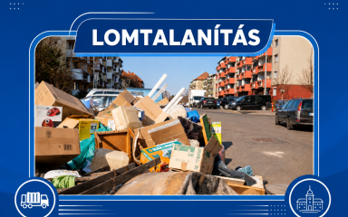 Lomtalanítás