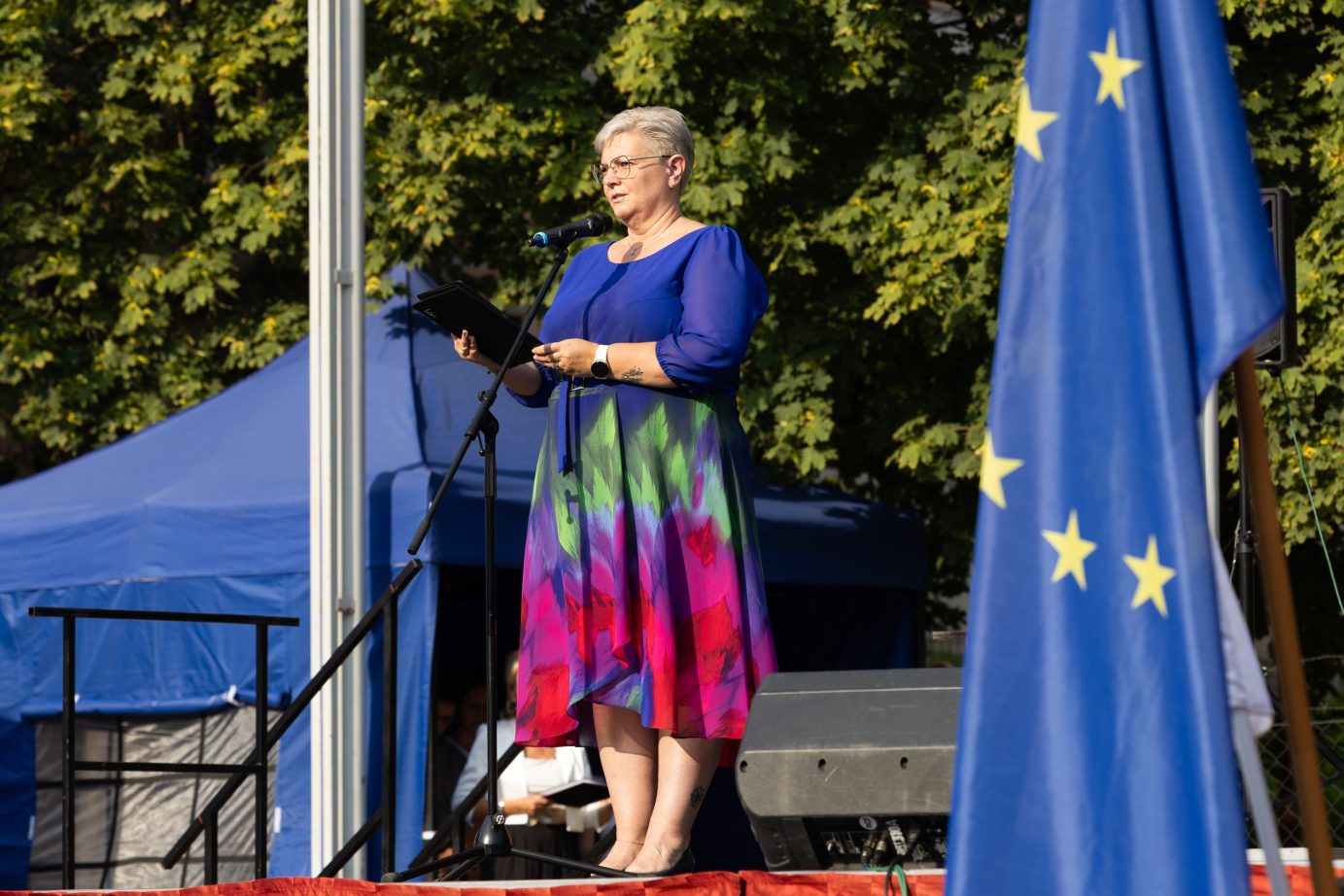 Cserdiné Németh Angéla beszédet mond