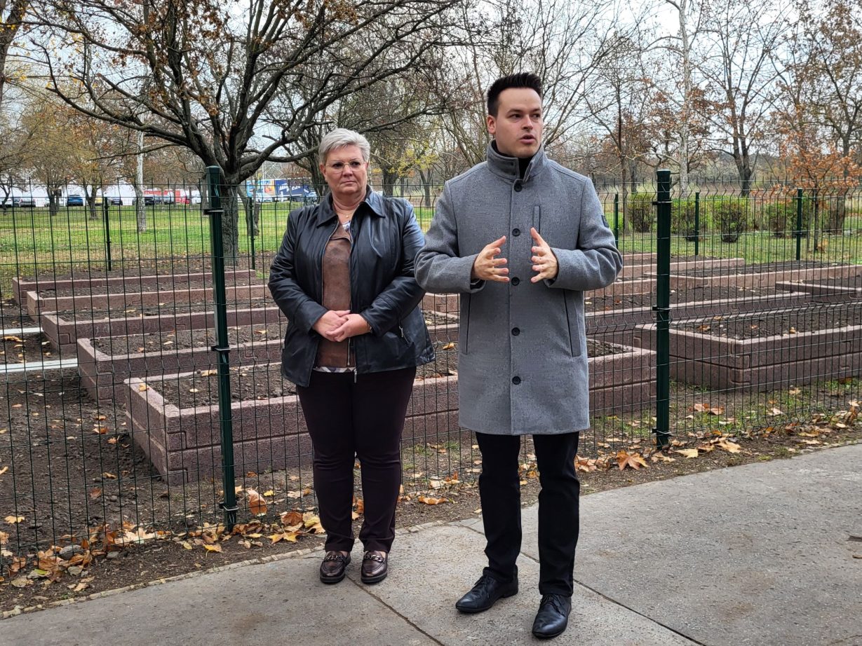 Cserdiné Németh Angéla és Csernák János az Erdőkerülő utcai közösségi kertnél