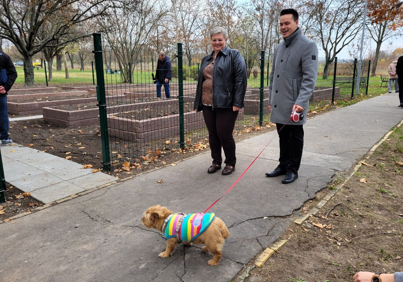 Cserdiné Németh Angéla és Csernák János az Erdőkerülő utcai közösségi kertnél