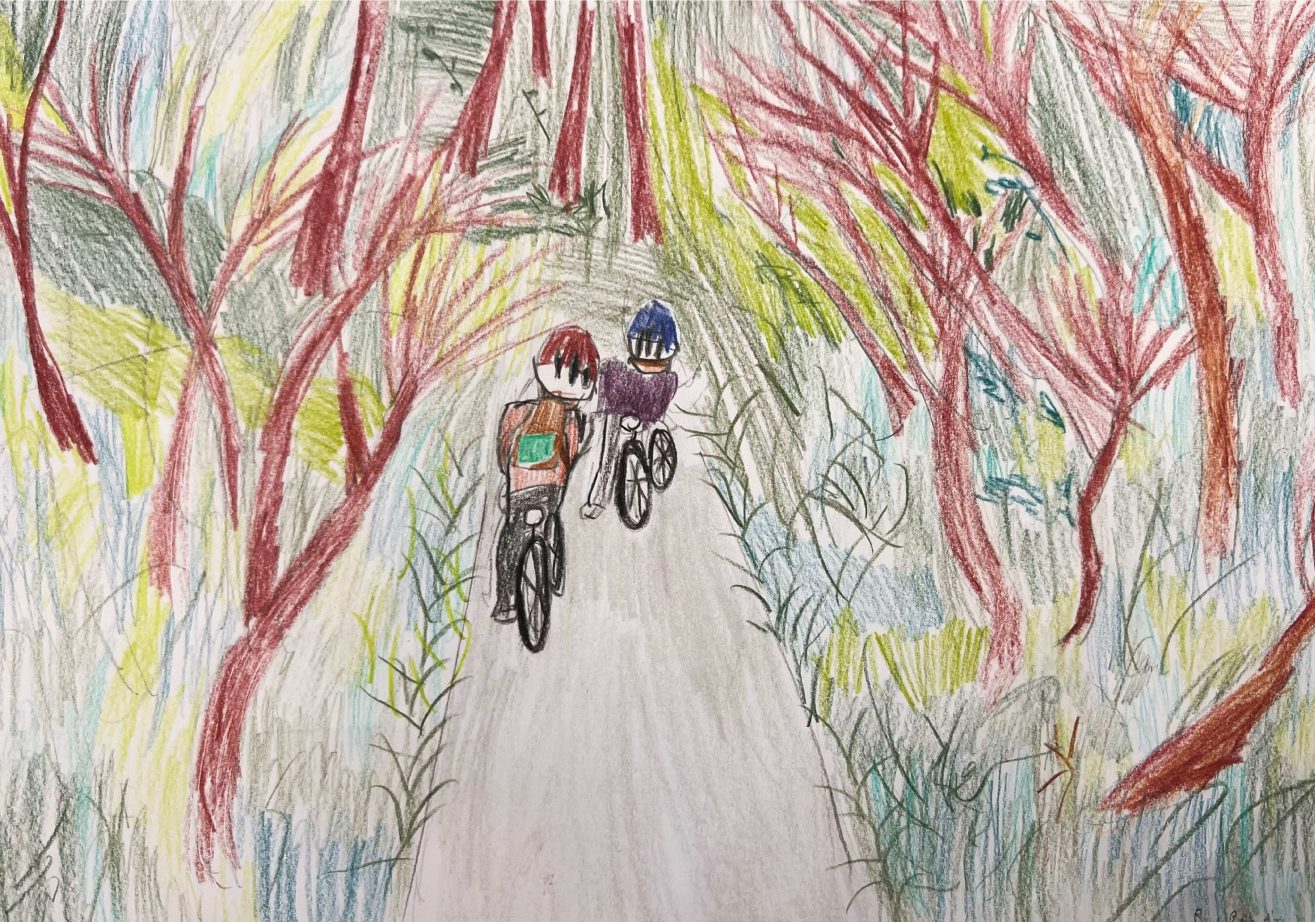 Rőthi Balázs – Erdős biciklizés