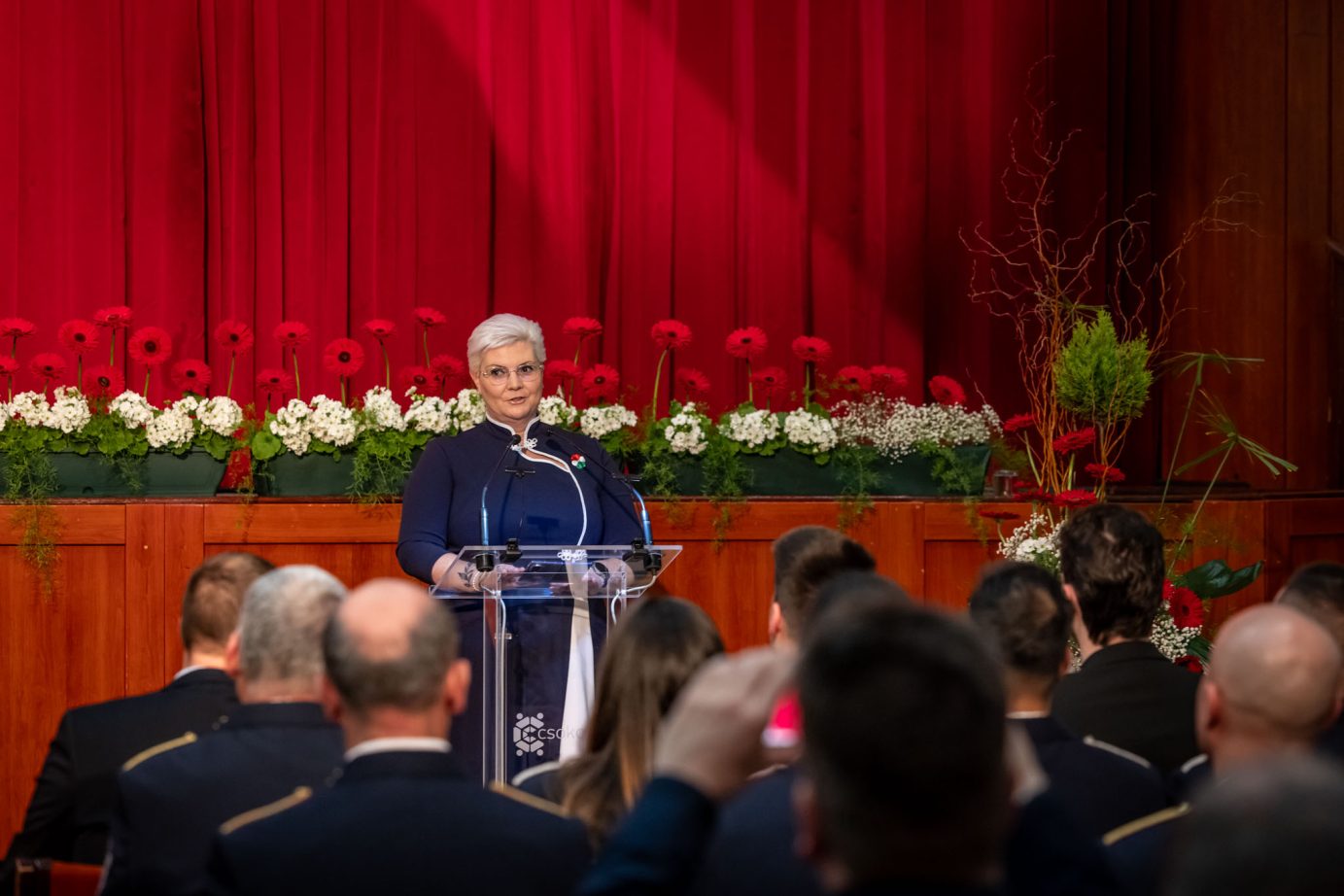 Cserdiné Németh Angéla beszédet mond az Érdemérem díjátadón